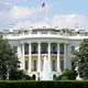 Image for article titled President’s American Manufacturing Council Down To CEO Of Shoe Carnival